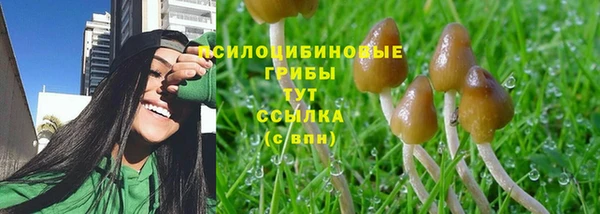 мяу мяу кристалл Белокуриха