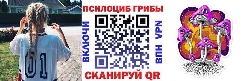Псилоцибиновые грибы Psilocybine cubensis  Елабуга 